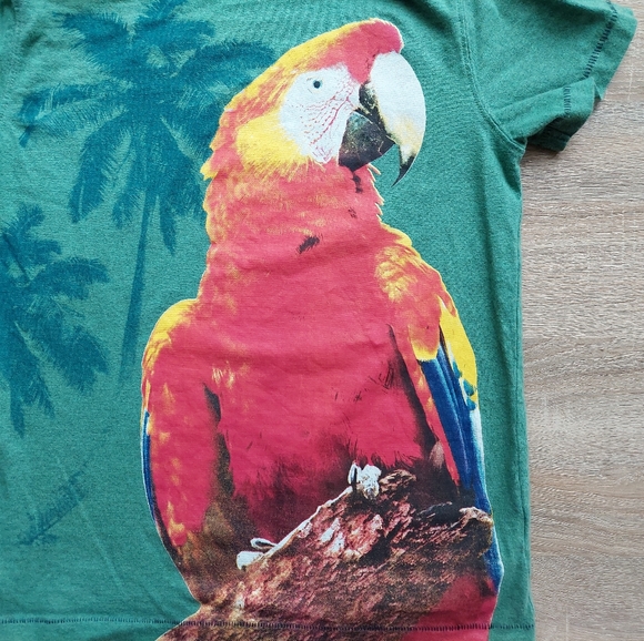 2016 ln / euc Next Direct 5-6 years - Picture 3 of 11